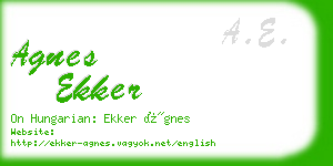 agnes ekker business card